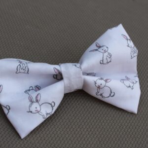 Lapins