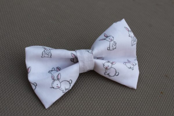 Lapins