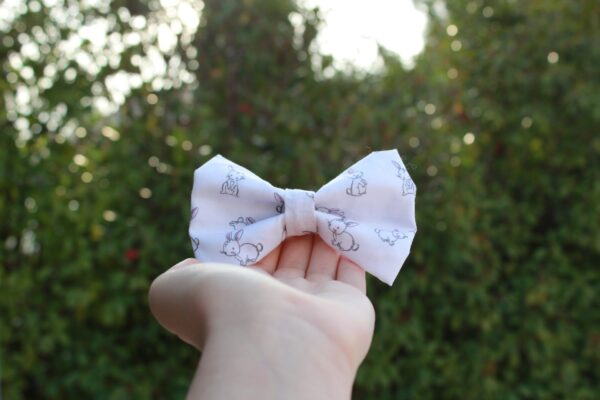 Lapins