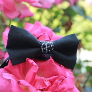 Elegant