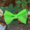 Vert