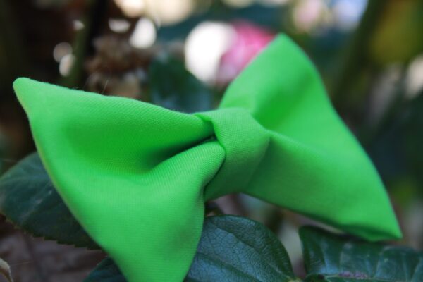 Vert
