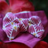 Purple Flowers