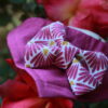 Purple Flowers