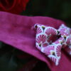 Purple Paon