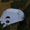 20210904152045_IMG_5820-scaled Panda