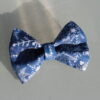 Bleu Neige