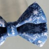 Bleu Neige