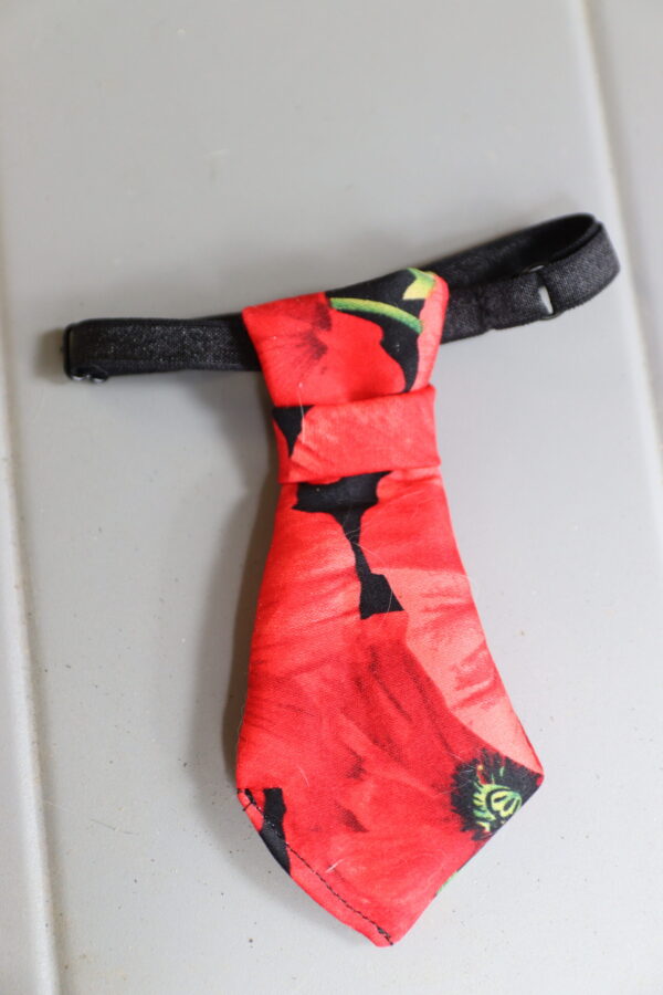 cravate pour animaux coquelicot
