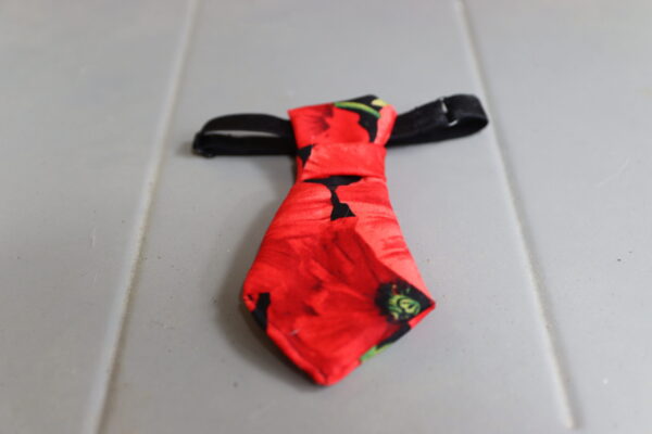 cravate pour animaux coquelicot