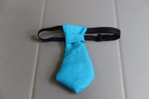 cravate pour animaux bleu